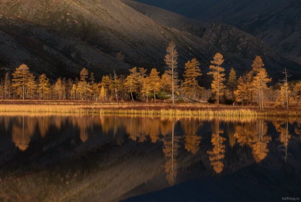 Колыма озеро Джека Лондона