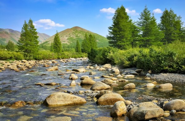 Лето на Колыме