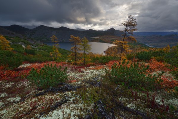 Озеро Джека Лондона Магаданская область