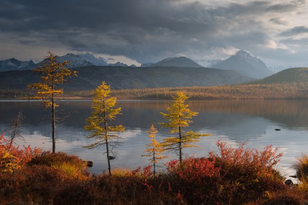 Коржонов озеро Джека Лондона