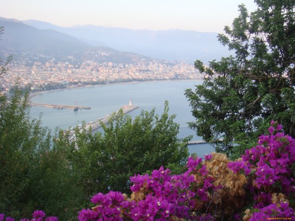 Аланья Турция природа