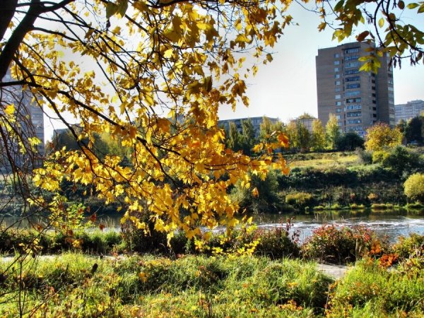 Воскресенск Московская область