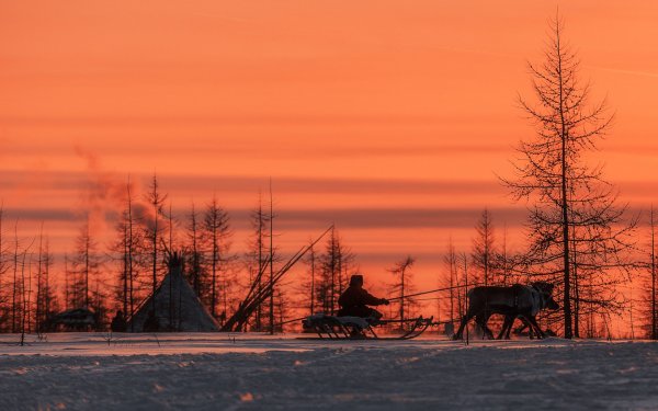 Тундра Якутии