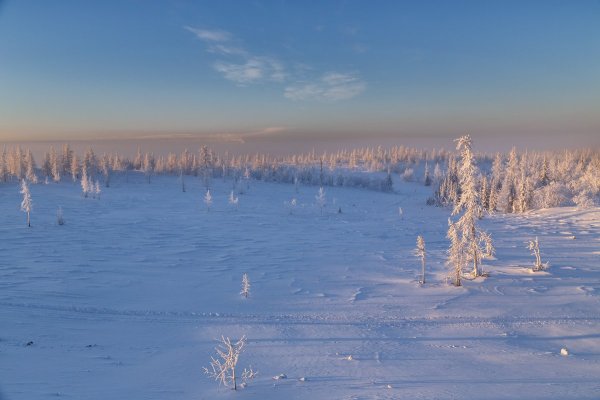Тундра полуостров Ямал