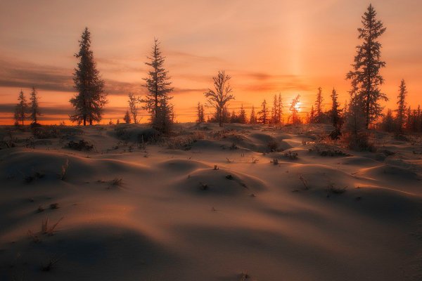 Ямал тундра зима