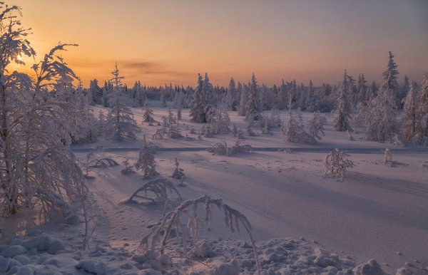 Тундра зима Ненецкий автономный округ