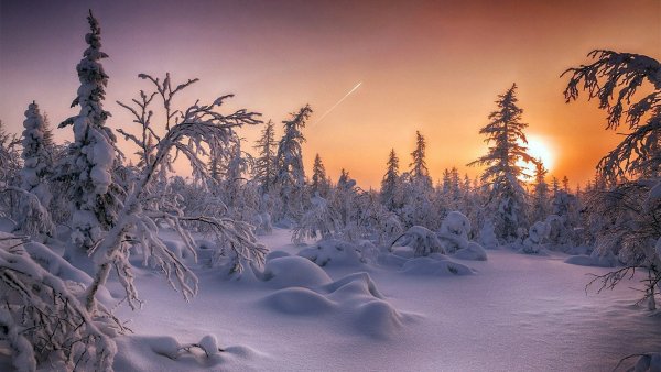 Ямало-Ненецкого автономного округа снежный Покров