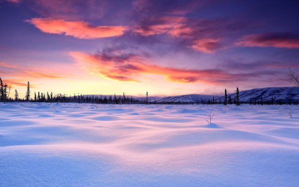 Зимнее небо