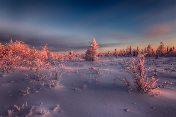 Тундра зима Ненецкий автономный округ