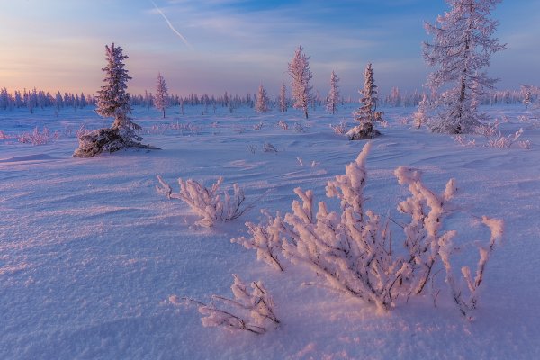 Зима лесотундра Полярный Урал