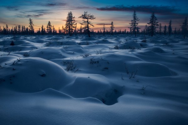 Тундра Ямала зимой