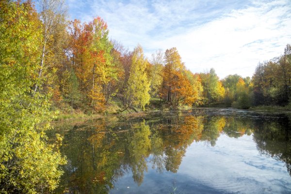 Город Воскресенск Московской области