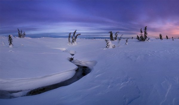 Ямал Даниил Коржонов