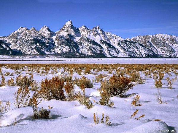 Природа тундры зимой