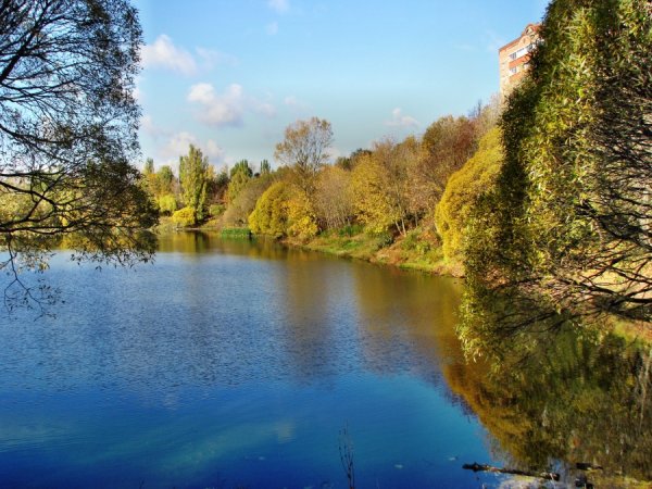 Церковь Сергия Радонежского Воскресенск