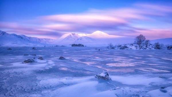 Арктическая пустыня и тундра
