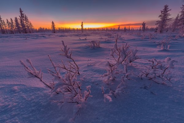Зима Ямал пейзаж фотограф Кирилл Уютнов