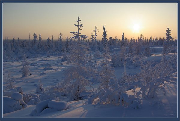 Якутская тундра Якутия зимой