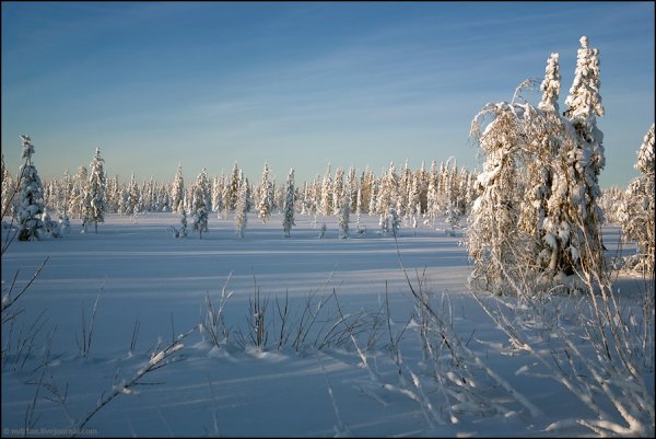 Зима на крайнем севере