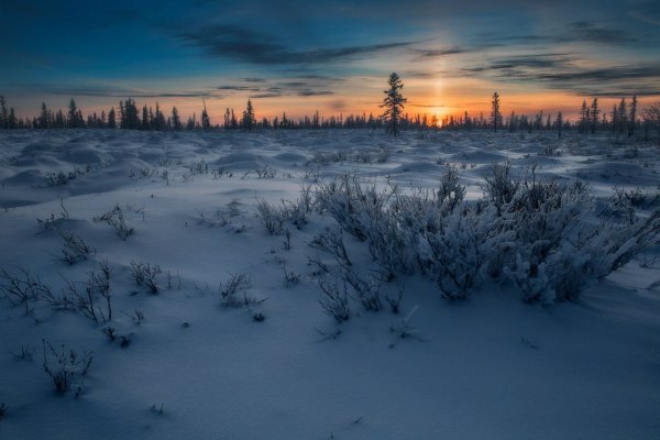 Салехард Ямало-Ненецкий автономный округ природа