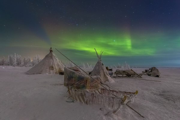 Ямало-Ненецкий автономный округ тундра