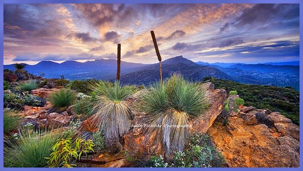 Пустыня Квинстауна Тасмания
