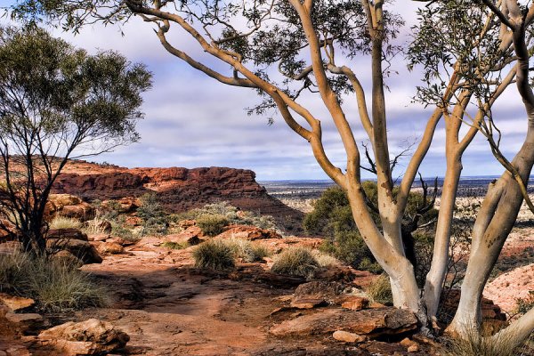 Австралийский пейзаж