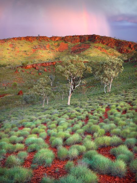 Пейзажи Австралии