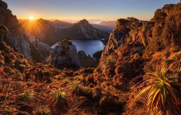 Дикая природа Тасмании Тасмания