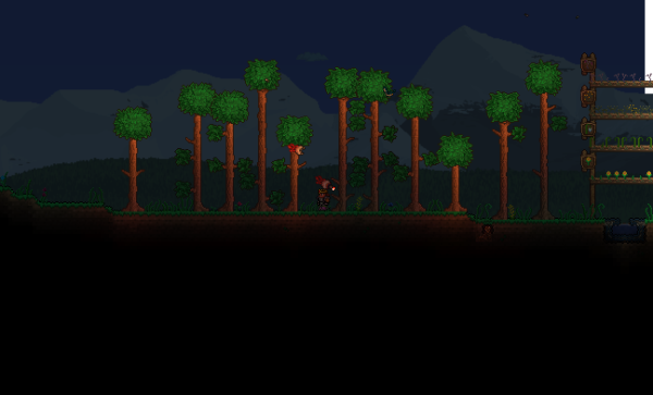 Террария лес ночью