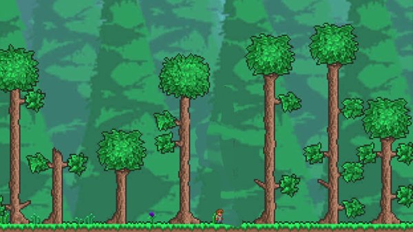 Лесной биом террария 1.4