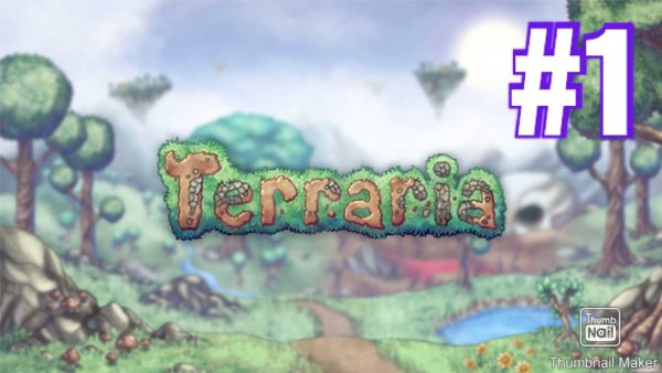 Terraria шапка