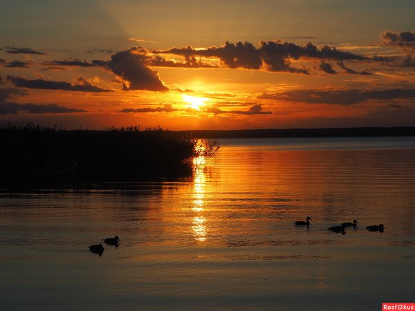 Озеро Селигер вечер