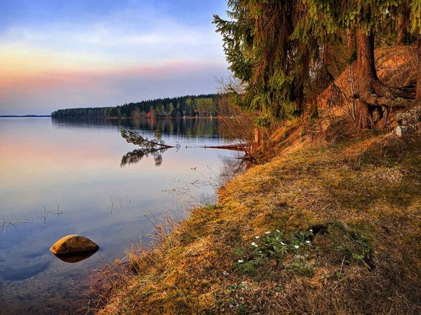 Озеро Селигер Тверская область