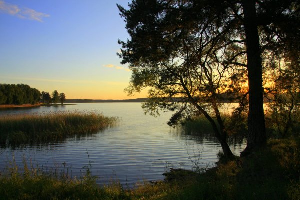 Озеро Селигер природа