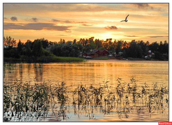 Пейзажи озера Селигер