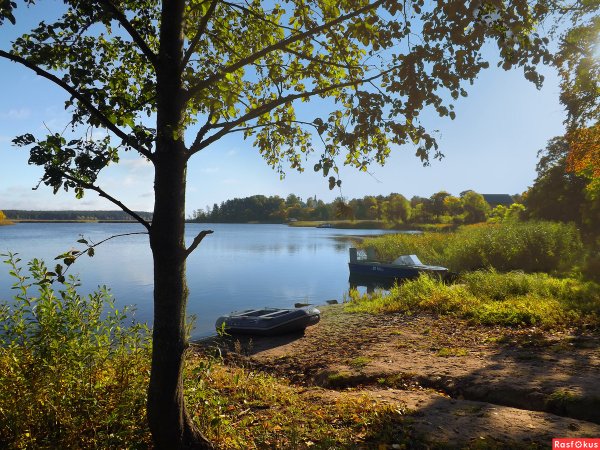 Берег озера Селигер