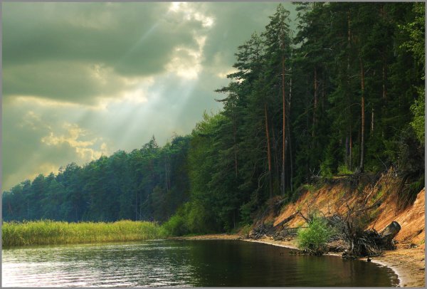 Селигер пейзажи