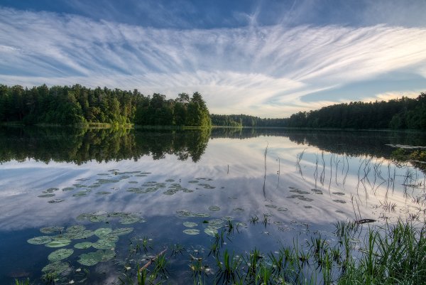 Озеро Селигер природа