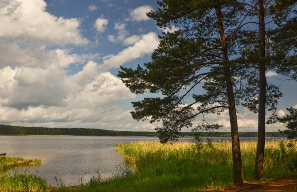 Селигер Валдайская возвышенность