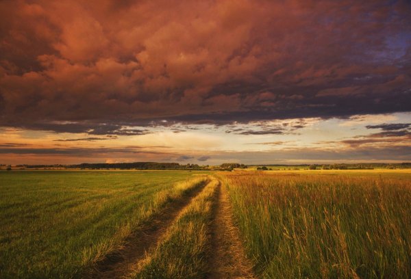 Природа перед грозой