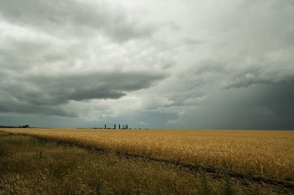 Пейзаж предгрозовое небо