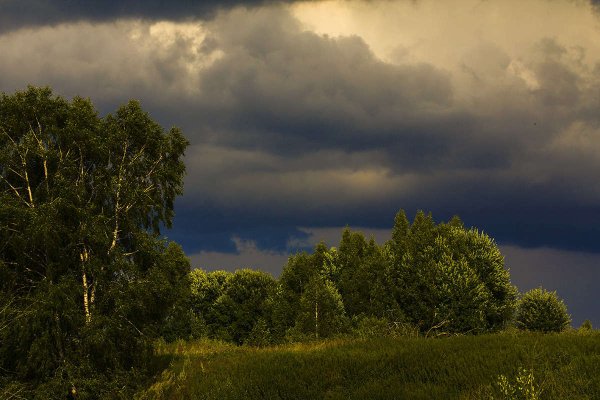 Картинки пейзаж предгрозовое состояние природы