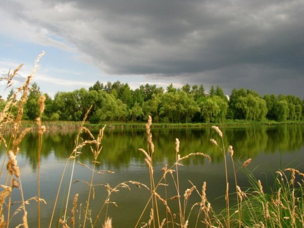 Предгрозовое состояние природы
