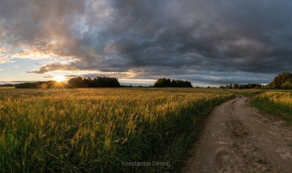 Предгрозовой пейзаж поле
