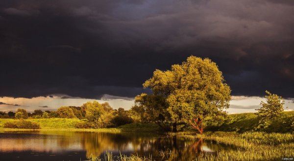 Перед грозой