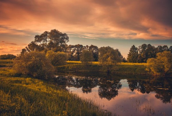 Надвигается буря