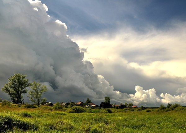 Шишкин перед грозой