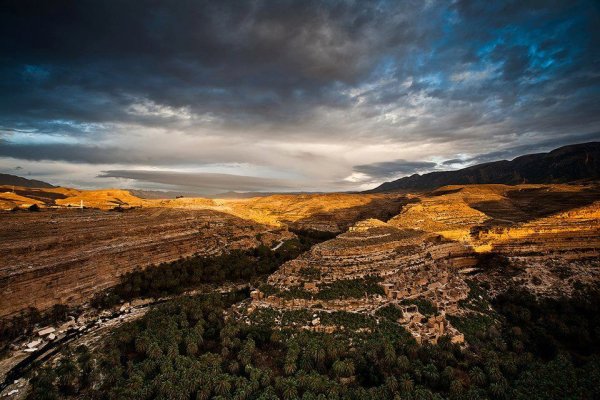 Алжир Африка природа