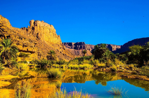 Тидикельт Оазис Алжир